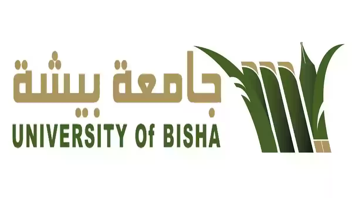 جامعة بيشة السعودية تعلن